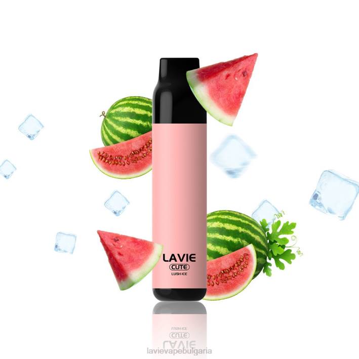 буен лед LAVIE BAR 3000 впръсквания 62X8285 | Lavie Vape Price